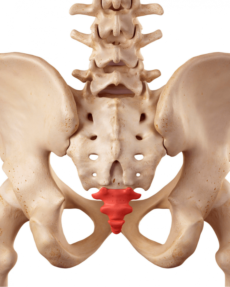 Fizioterapija kokcigodinije