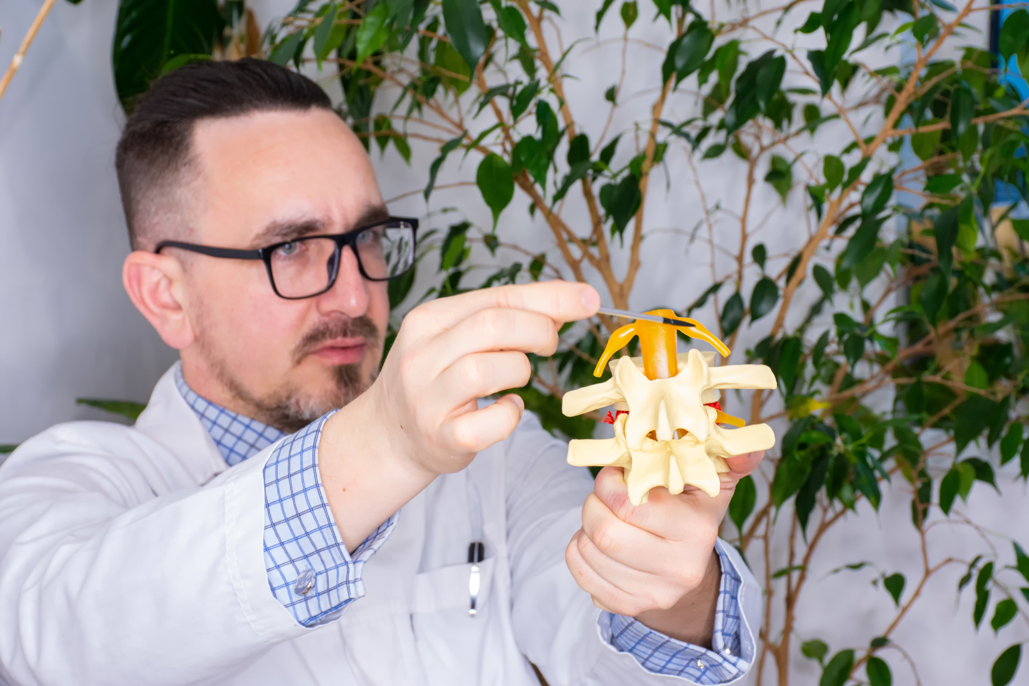 radikulopatija bolečine v križu